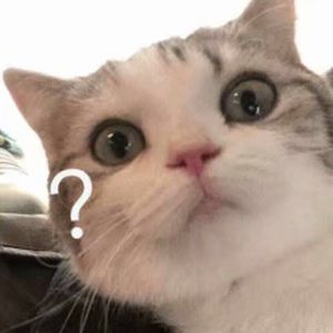 精品国产高清不卡毛片
